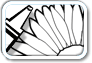 Flowers Coloring Pages